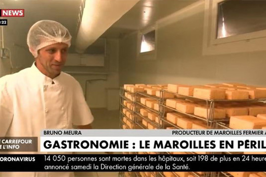 Gastronomie : le Maroilles en péril