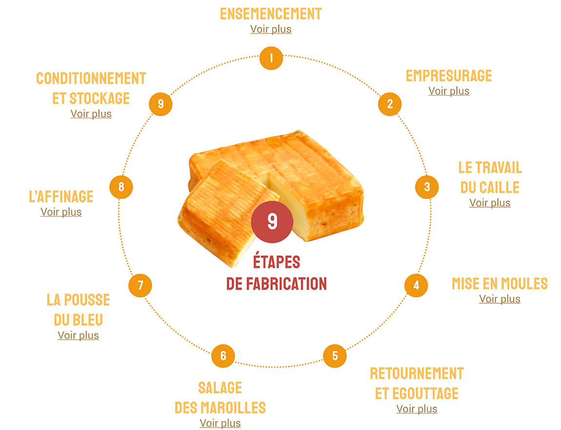 Etapes de Fabrication - Ensemencement, Empresurage, Le Travail du Caille, Mise en Moules, Retournement et Egouttage, Salage des Maroilles, La Pousse du Bleu, L'affinage, Conditionnement et Stockage